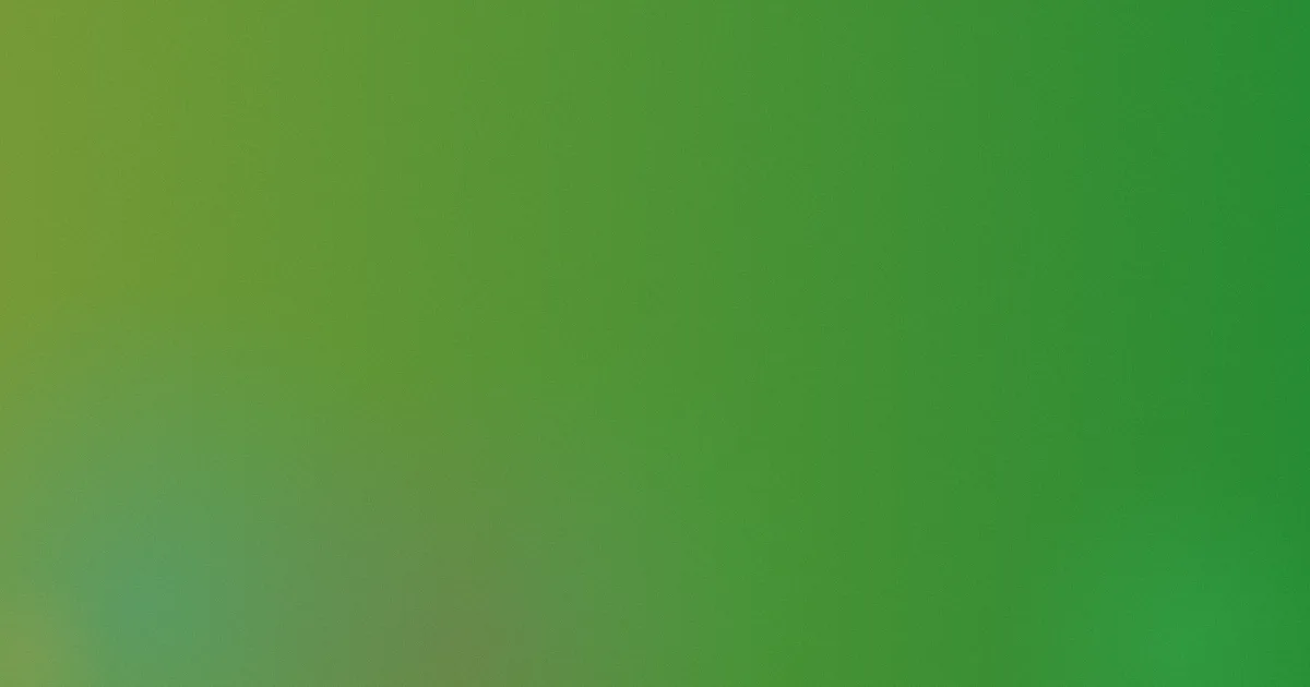 陈宝珠攻略：常见问题对照
